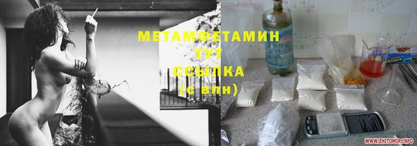 сатива Елизово