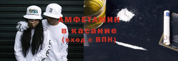 сатива Елизово