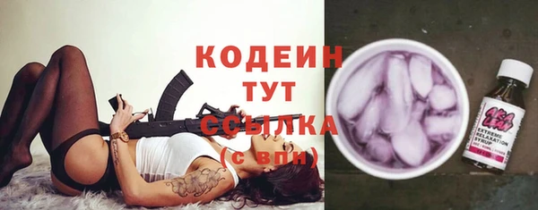 сатива Елизово