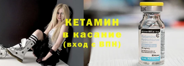 сатива Елизово