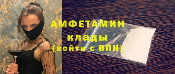 сатива Елизово