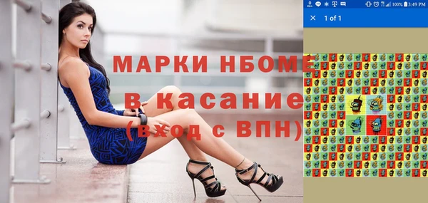 сатива Елизово
