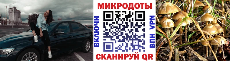 KRAKEN ССЫЛКА Спасск-Дальний Галлюциногенные грибы мицелий