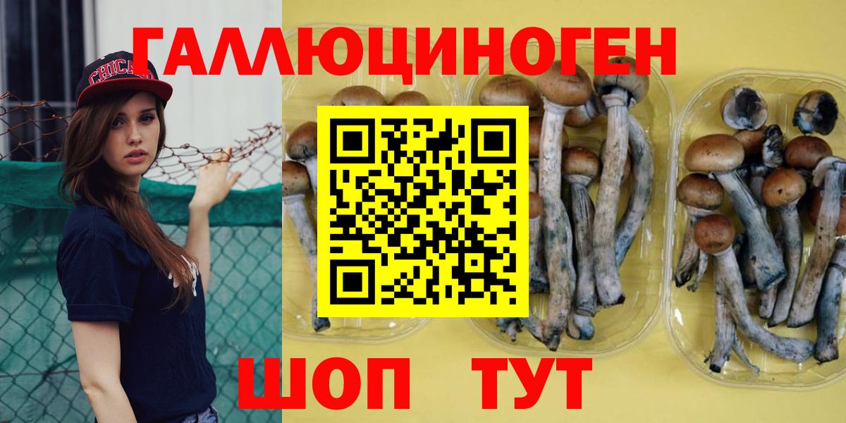 где можно купить наркотик  Галлюциногенные грибы Magic Shrooms  Вход с VPN  Спасск-Дальний  Псилоцибиновые грибы GOLDEN TEACHER 