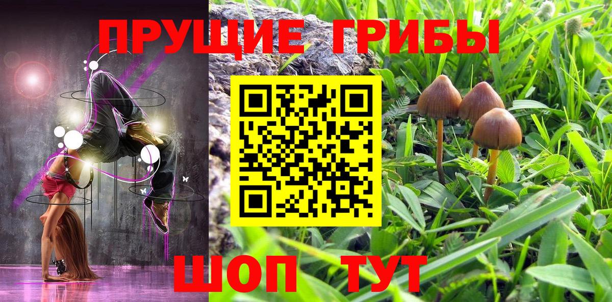 Галлюциногенные грибы Magic Shrooms Спасск-Дальний